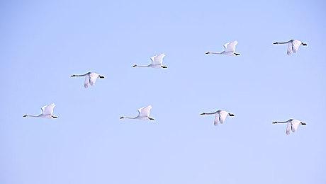 《消逝的光芒2》设计师表示每个技能极具颠覆性